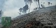 7 Hektar Lahan di Aceh Selatan Terbakar, Api Padam Setelah 8 Jam Berkobar