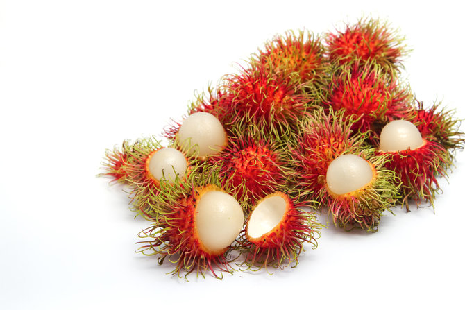 ilustrasi rambutan