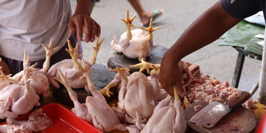Jelang HUT RI, Harga Daging Ayam Terpantau Naik Jadi Rp30.100 per Kg