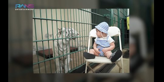 Rayyanza Jalani Pemotretan Bareng Harimau Milik Alshad, Hasilnya Menggemaskan Abis