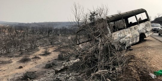 Potret Tragis Kebakaran Hutan di Aljazair yang Tewaskan 37 Orang