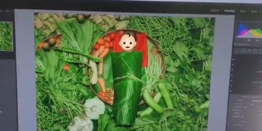 Dibungkus Pakai Daun Pisang, Begini Pemotretan Baby Born Bertema Sayuran