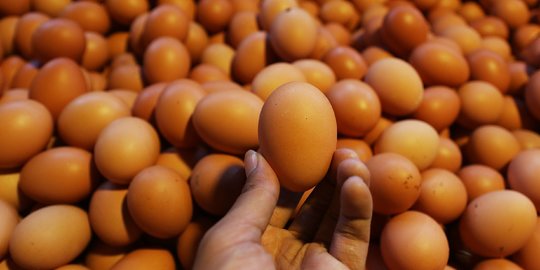 Bukan Over Supply, Ini Penyebab Utama Harga Telur Ayam Naik Jadi Rp33.000 per Kg