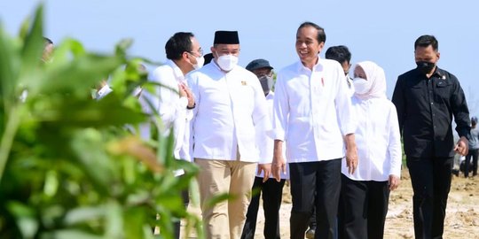 Cacar Monyet Masuk RI, Jokowi: Jangan Terlalu Panik, Penularannya Bukan Lewat Droplet