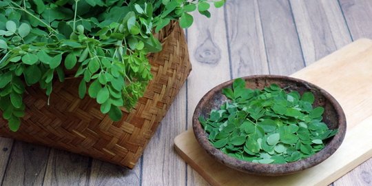 Fungsi Daun pada Tumbuhan, Fotosintesis hingga Tempat Penyimpanan Air