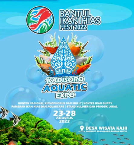 festival ikan hias desa kadisoro