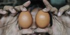 Harga Telur Ayam Terus Meroket