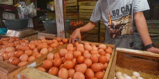 Pasokan Telur di Jakarta Diklaim Tak Alami Kendala