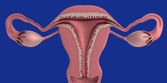 Mengenal Sindrom Asherman, Gangguan Rahim yang Wajib Diketahui