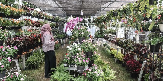 Mengunjungi Festival Flora dan Fauna di Lapangan Banteng