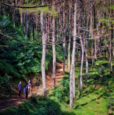 6 tempat wisata garut yang cocok buat holiday pemandangannya membius mata