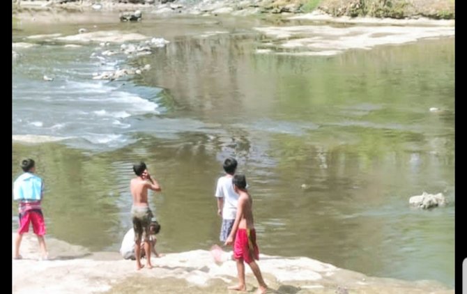 rumah jagal di solo buang darah dan organ tubuh anjing ke sungai bengawan solo