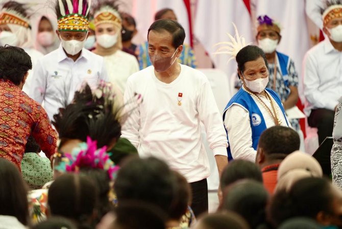 presiden jokowi serahkan nib bagi nasabah pnm di jayapura