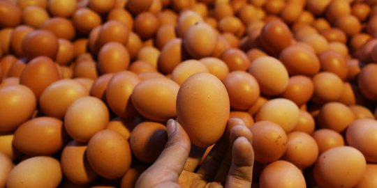 Mendag: Harga Wajar Telur Ayam Rp28.000 per Kilogram