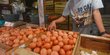 Jakarta Dapat Kiriman 25 Ton Telur Ayam Setiap Hari, Dari Mana Asalnya?