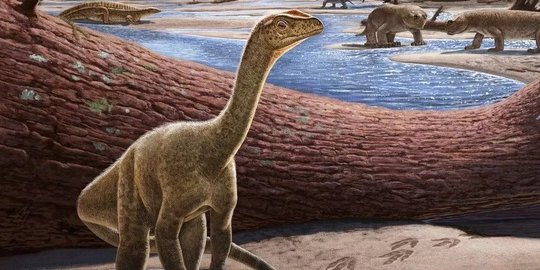 Ilmuwan Temukan Dinosaurus Tertua di Afrika yang Hidup 230 Juta Tahun Lalu