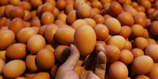 Hari Ini, Harga Telur Ayam di Jakarta Rp29.000 per Kg
