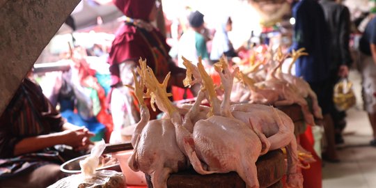 Harga Daging Ayam di Jakarta Masih Stabil