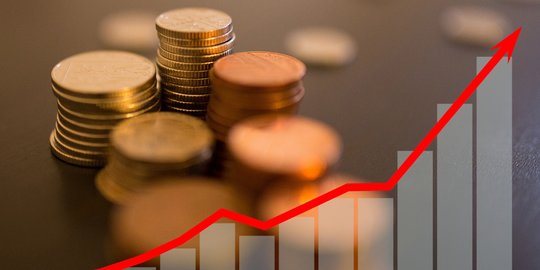 Cara Menghitung IRR dalam Investasi, Lengkap Beserta Contohnya