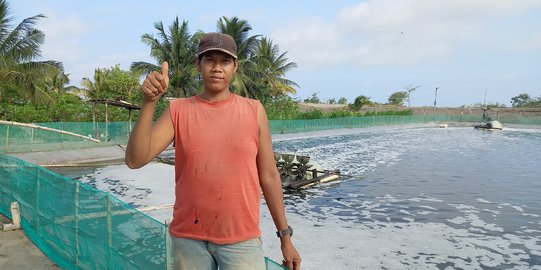 Ogah Ikut Program Tambak Modern, Petani Udang di Kebumen Pilih Jadi Bos