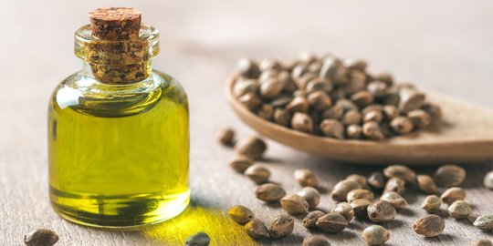 Manfaat Hemp Oil untuk Kesehatan, Salah Satunya untuk Rawat Kulit dan Rambut