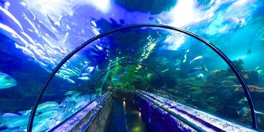 Wisata Anak di Jakarta yang Seru dan Edukatif, Wajib Dikunjungi