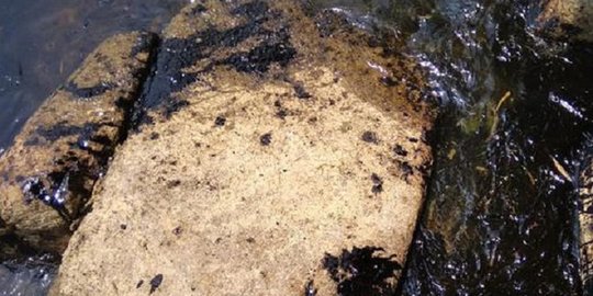 DLH Sebut Sungai di Cirebon Jadi Penyumbang Utama Pencemaran Lingkungan, Ini Sebabnya