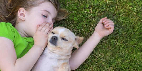 Pecinta Kucing & Anjing Bisa Dapat Vaksin Rabies Gratis, Cek Syarat dan Lokasinya