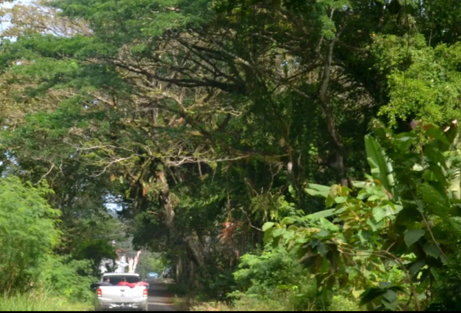 Jadi Tempat Eksekusi Mati, Ini 4 Fakta Lembah Nirbaya di Pulau ...