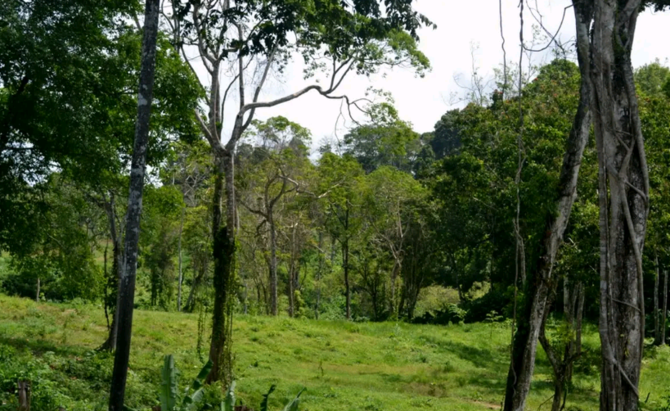 Jadi Tempat Eksekusi Mati, Ini 4 Fakta Lembah Nirbaya di Pulau ...