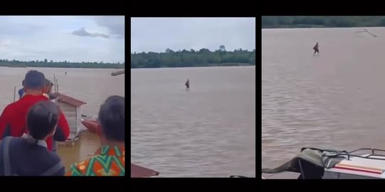 Viral Pria Jalan di Atas Air Sungai di Kalimantan Jadi Sorotan, Percaya Nggak Percaya