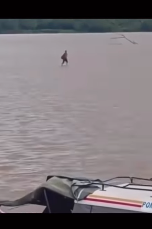 viral pria jalan di atas air sungai di kalimantan jadi sorotan