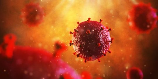 Stem Cell adalah Induk dari Semua Sel dalam Tubuh Manusia, Baca Selengkapnya