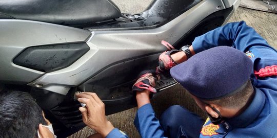 Ular Sembunyi di Bodi Motor, Damkar Kabupaten Bogor Turun Tangan
