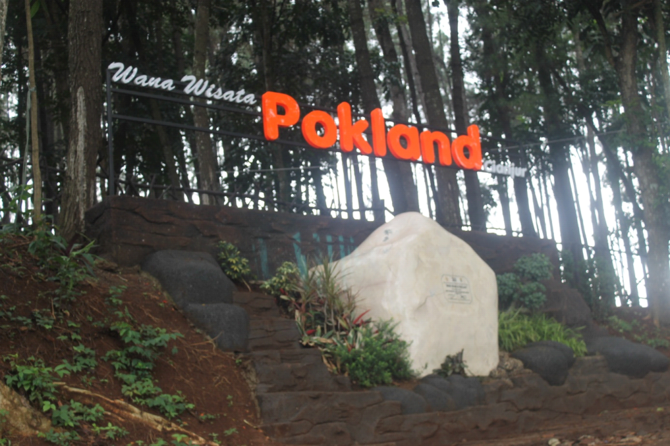 taman pinus pokland di cianjur