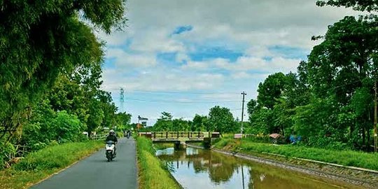 544 Hektare Sawah di Sleman Terdampak Penutupan Selokan Mataram, Ini 3 Faktanya