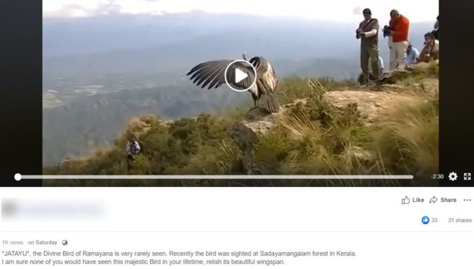 cek fakta heboh penampakan burung garuda di gunung penanggungan jawa timur simak faktanya