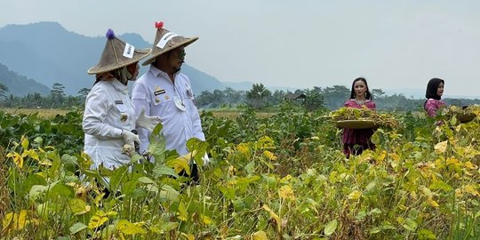 Mentan: Provinsi Banten Mampu Hasilkan Produk Kedelai Lokal Berkualitas