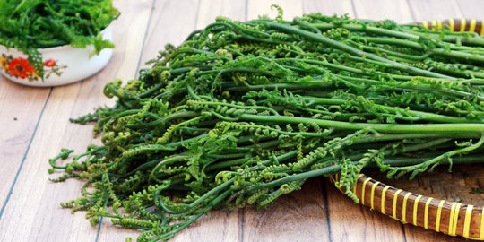 Benarkah Pakis Sayur Beracun dan Bahaya Dikonsumsi? Ini Faktanya