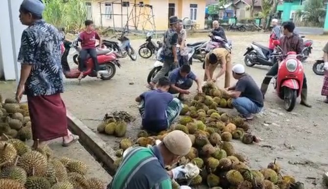 membangun masjid lewat infak durian