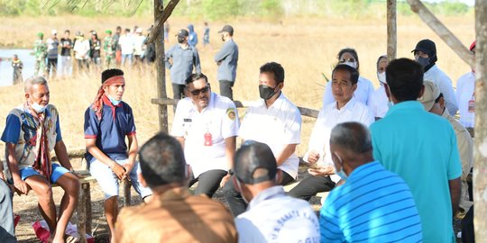 Kesulitan Air, Peternak Kerbau di Pulau Moa Mengadu ke Jokowi - Vimarsana News