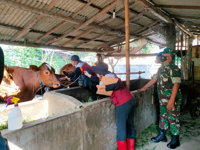 vaksinasi atasi pmk di banyuwangi