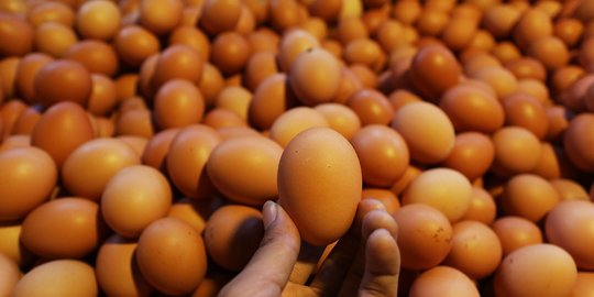 Bantah Harga Telur Ayam Naik: Ngarang, di Solo Harganya Rp27.000 per Kg