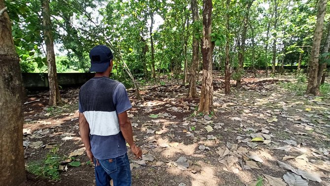 lokasi ratusan jasad masih utuh di makam cilegon