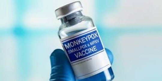 IDI Rekomendasikan Vaksin MVA-BN untuk Cacar Monyet, Aman untuk Anak dan Ibu Hamil