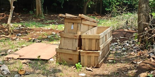 Potret Lokasi Pembongkaran Ratusan Makam di Cilegon yang Viral