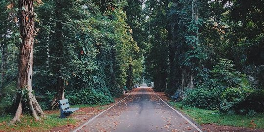 10 Tempat Wisata Puncak Bogor yang Cantik dan Menarik, Jangan Sampai Terlewat