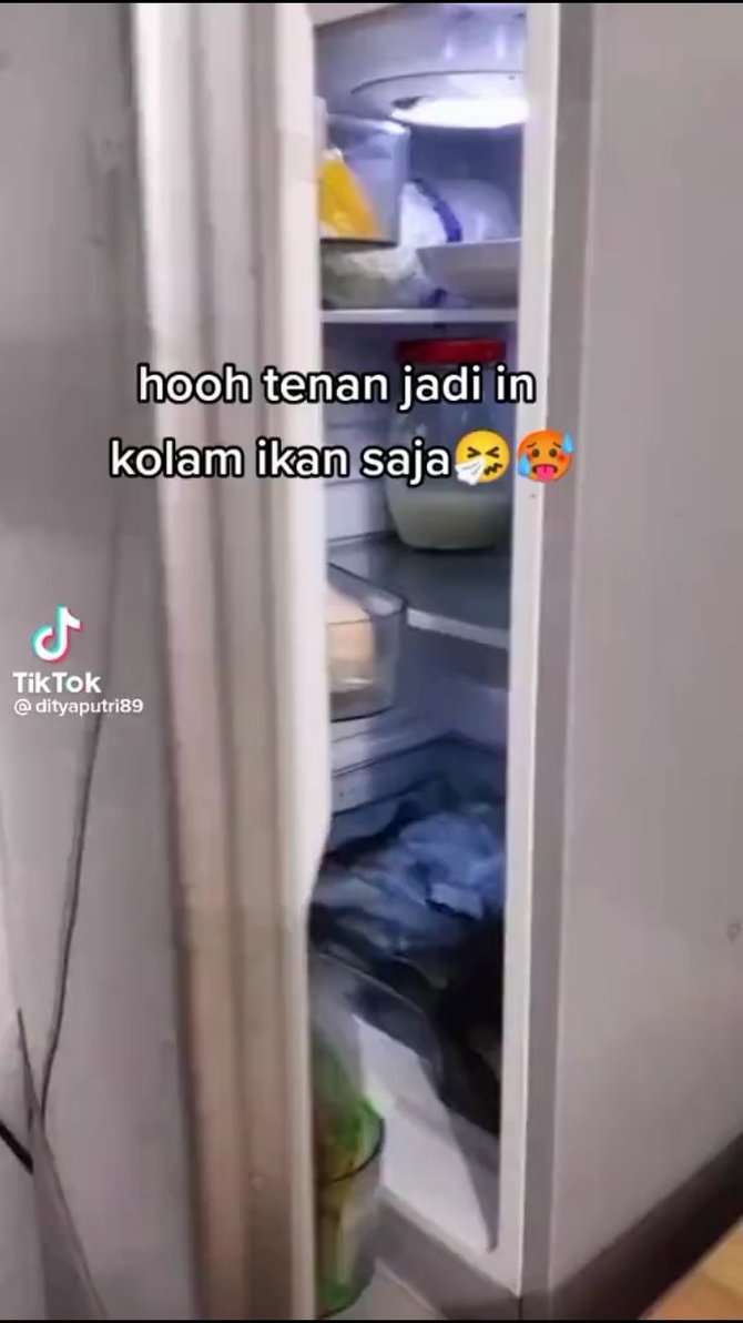 kreatif begini cara orang simpan ikan hidup di kulkas agar tetap lsquofreshrsquo