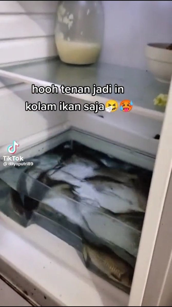 kreatif begini cara orang simpan ikan hidup di kulkas agar tetap lsquofreshrsquo