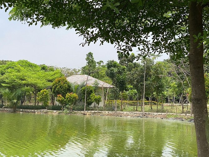 hutan kota rawa malang semper jakut tkp pemerkosaan anak di bawah umur